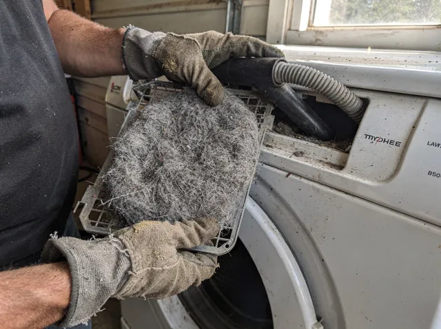 Cleaning Dryer Lint Trap in San Fernando